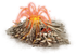 Carcassonne volcano.png